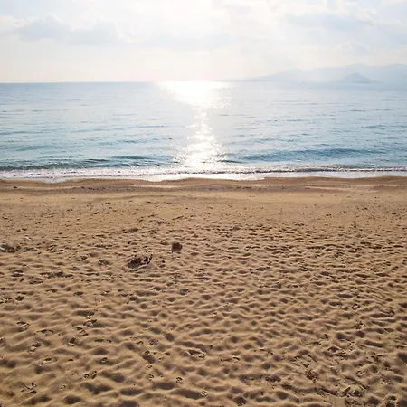 Apartment Marine Dream Plaka (Naxos)